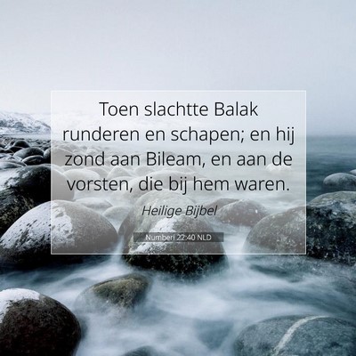 Picture 07 - Numberi 22:40 NLD - Toen slachtte Balak runderen en schapen; en hij - Bible Verse Picture