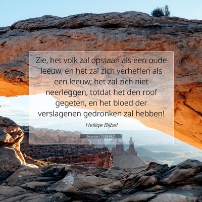 Picture 07 - Numberi 23:24 NLD - Zie, het volk zal opstaan als een oude leeuw, en - Bible Verse Picture