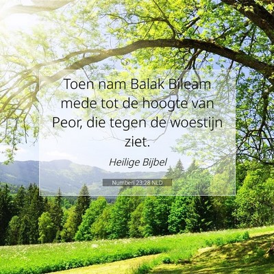 Picture 07 - Numberi 23:28 NLD - Toen nam Balak Bileam mede tot de hoogte van - Bible Verse Picture