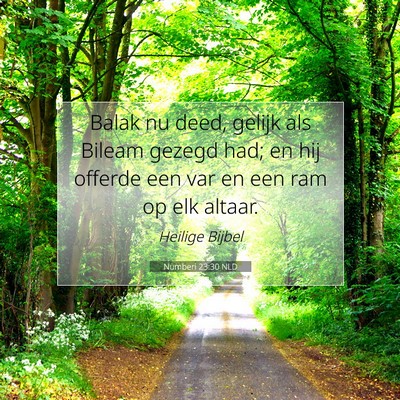 Picture 07 - Numberi 23:30 NLD - Balak nu deed, gelijk als Bileam gezegd had; en - Bible Verse Picture