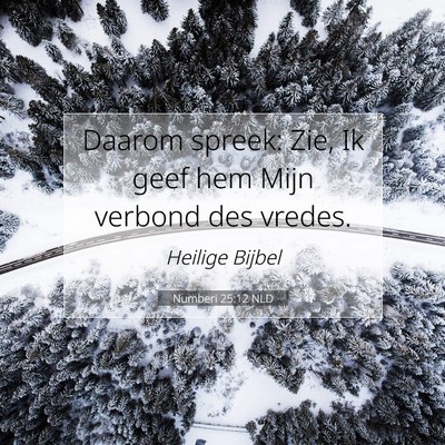 Picture 07 - Numberi 25:12 NLD - Daarom spreek: Zie, Ik geef hem Mijn verbond des - Bible Verse Picture