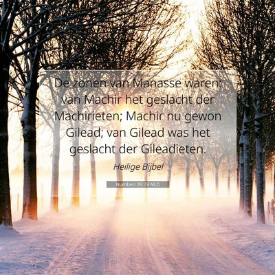 Picture 07 - Numberi 26:29 NLD - De zonen van Manasse waren: van Machir het - Bible Verse Picture