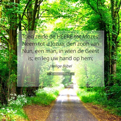 Picture 07 - Numberi 27:18 NLD - Toen zeide de HEERE tot Mozes: Neem tot u Jozua, - Bible Verse Picture