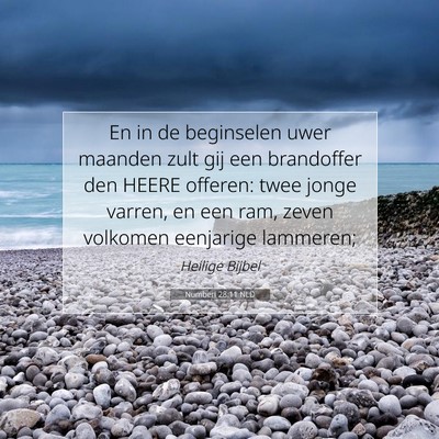 Picture 07 - Numberi 28:11 NLD - En in de beginselen uwer maanden zult gij een - Bible Verse Picture
