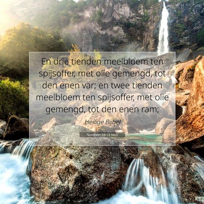 Picture 07 - Numberi 28:12 NLD - En drie tienden meelbloem ten spijsoffer, met - Bible Verse Picture