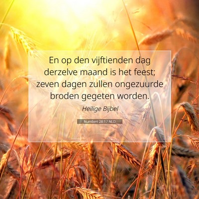 Picture 07 - Numberi 28:17 NLD - En op den vijftienden dag derzelve maand is het - Bible Verse Picture