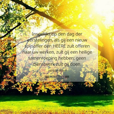 Picture 07 - Numberi 28:26 NLD - Insgelijks op den dag der eerstelingen, als gij - Bible Verse Picture
