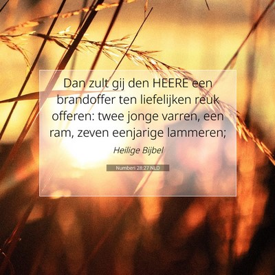 Picture 07 - Numberi 28:27 NLD - Dan zult gij den HEERE een brandoffer ten - Bible Verse Picture
