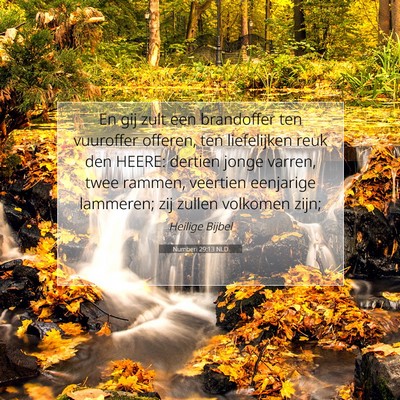 Picture 07 - Numberi 29:13 NLD - En gij zult een brandoffer ten vuuroffer offeren, - Bible Verse Picture