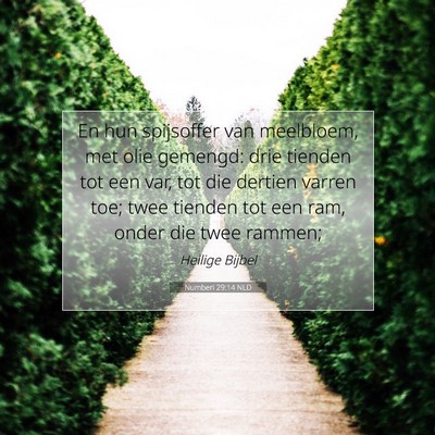 Picture 07 - Numberi 29:14 NLD - En hun spijsoffer van meelbloem, met olie - Bible Verse Picture