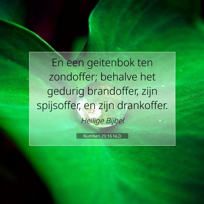 Picture 07 - Numberi 29:16 NLD - En een geitenbok ten zondoffer; behalve het - Bible Verse Picture