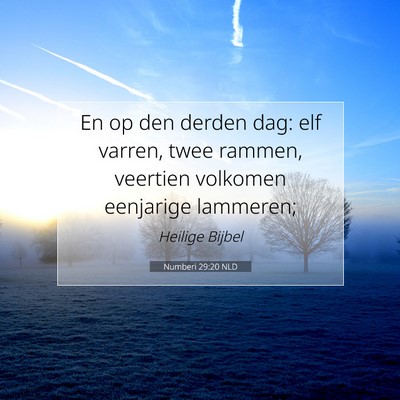 Picture 07 - Numberi 29:20 NLD - En op den derden dag: elf varren, twee rammen, - Bible Verse Picture