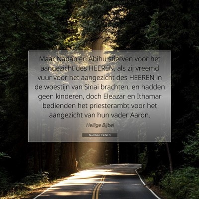 Picture 07 - Numberi 3:4 NLD - Maar Nadab en Abihu stierven voor het aangezicht - Bible Verse Picture