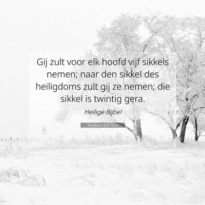 Picture 07 - Numberi 3:47 NLD - Gij zult voor elk hoofd vijf sikkels nemen; naar - Bible Verse Picture