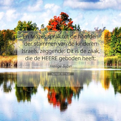 Picture 07 - Numberi 30:1 NLD - En Mozes sprak tot de hoofden der stammen van de - Bible Verse Picture