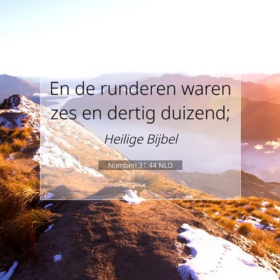 Picture 07 - Numberi 31:44 NLD - En de runderen waren zes en dertig - Bible Verse Picture