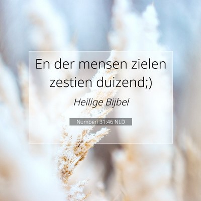 Picture 07 - Numberi 31:46 NLD - En der mensen zielen zestien - Bible Verse Picture