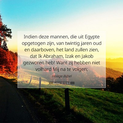 Picture 07 - Numberi 32:11 NLD - Indien deze mannen, die uit Egypte opgetogen - Bible Verse Picture
