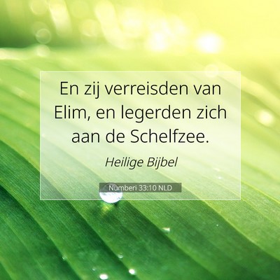 Picture 07 - Numberi 33:10 NLD - En zij verreisden van Elim, en legerden zich aan - Bible Verse Picture