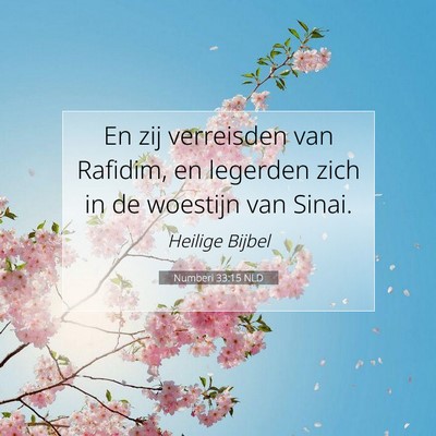 Picture 07 - Numberi 33:15 NLD - En zij verreisden van Rafidim, en legerden zich - Bible Verse Picture