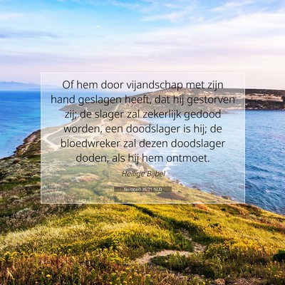 Picture 07 - Numberi 35:21 NLD - Of hem door vijandschap met zijn hand geslagen - Bible Verse Picture