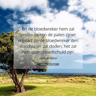Picture 07 - Numberi 35:27 NLD - En de bloedwreker hem zal vinden buiten de palen - Bible Verse Picture