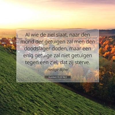 Picture 07 - Numberi 35:30 NLD - Al wie de ziel slaat, naar den mond der getuigen - Bible Verse Picture