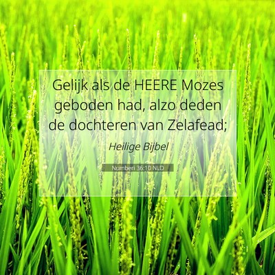 Picture 07 - Numberi 36:10 NLD - Gelijk als de HEERE Mozes geboden had, alzo deden - Bible Verse Picture