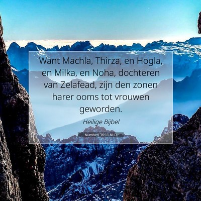 Picture 07 - Numberi 36:11 NLD - Want Machla, Thirza, en Hogla, en Milka, en Noha, - Bible Verse Picture