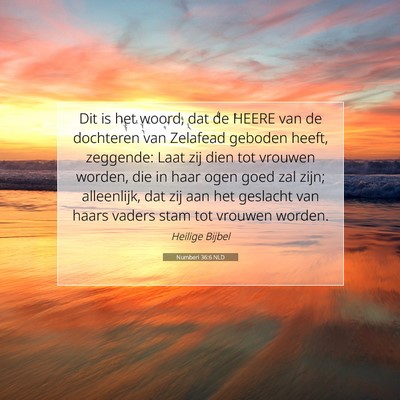 Picture 07 - Numberi 36:6 NLD - Dit is het woord, dat de HEERE van de dochteren - Bible Verse Picture
