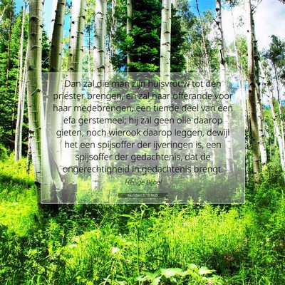 Picture 07 - Numberi 5:15 NLD - Dan zal die man zijn huisvrouw tot den priester - Bible Verse Picture