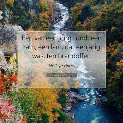 Picture 07 - Numberi 7:15 NLD - Een var, een jong rund, een ram, een lam, dat - Bible Verse Picture
