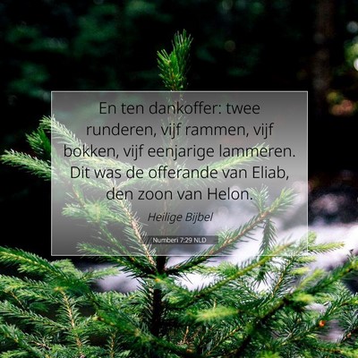 Picture 07 - Numberi 7:29 NLD - En ten dankoffer: twee runderen, vijf rammen, - Bible Verse Picture