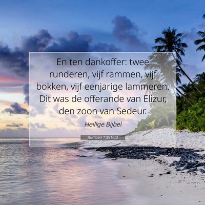 Picture 07 - Numberi 7:35 NLD - En ten dankoffer: twee runderen, vijf rammen, - Bible Verse Picture
