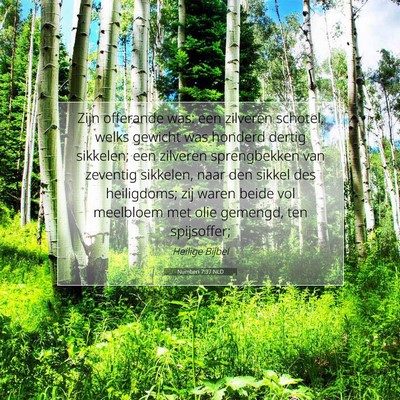 Picture 07 - Numberi 7:37 NLD - Zijn offerande was: een zilveren schotel, welks - Bible Verse Picture