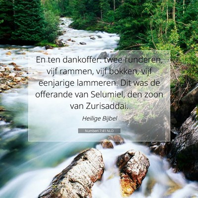 Picture 07 - Numberi 7:41 NLD - En ten dankoffer: twee runderen, vijf rammen, - Bible Verse Picture