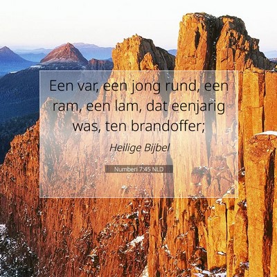Picture 07 - Numberi 7:45 NLD - Een var, een jong rund, een ram, een lam, dat - Bible Verse Picture