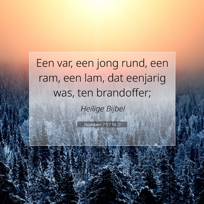 Picture 07 - Numberi 7:57 NLD - Een var, een jong rund, een ram, een lam, dat - Bible Verse Picture