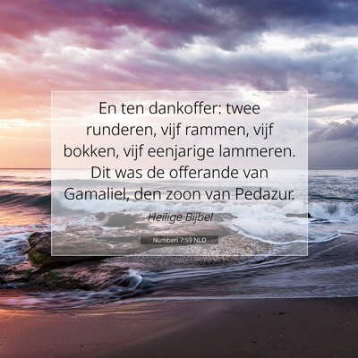 Picture 07 - Numberi 7:59 NLD - En ten dankoffer: twee runderen, vijf rammen, - Bible Verse Picture