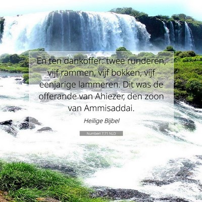 Picture 07 - Numberi 7:71 NLD - En ten dankoffer: twee runderen, vijf rammen, - Bible Verse Picture
