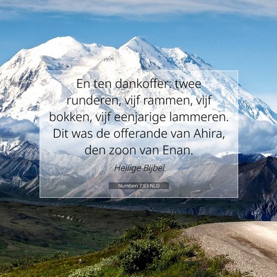 Picture 07 - Numberi 7:83 NLD - En ten dankoffer: twee runderen, vijf rammen, - Bible Verse Picture