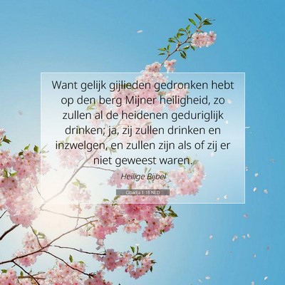 Picture 07 - Obadja 1:16 NLD - Want gelijk gijlieden gedronken hebt op den berg - Bible Verse Picture