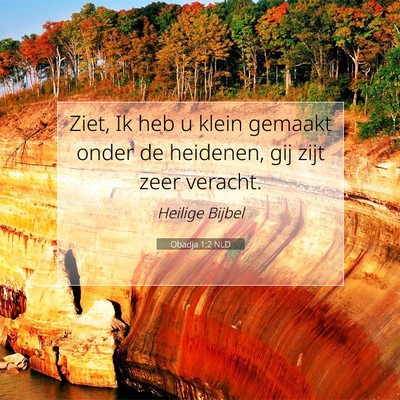 Picture 07 - Obadja 1:2 NLD - Ziet, Ik heb u klein gemaakt onder de heidenen, - Bible Verse Picture