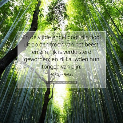 Picture 07 - Openbaring 16:10 NLD - En de vijfde engel goot zijn fiool uit op den - Bible Verse Picture