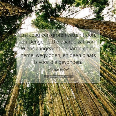 Picture 07 - Openbaring 20:11 NLD - En ik zag een groten witten troon, en Dengene, - Bible Verse Picture