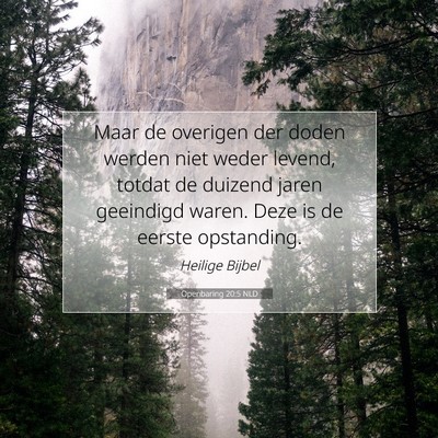 Picture 07 - Openbaring 20:5 NLD - Maar de overigen der doden werden niet weder - Bible Verse Picture