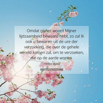 Picture 07 - Openbaring 3:10 NLD - Omdat gij het woord Mijner lijdzaamheid bewaard - Bible Verse Picture