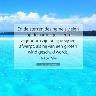 Picture 07 - Openbaring 6:13 NLD - En de sterren des hemels vielen op de aarde, - Bible Verse Picture