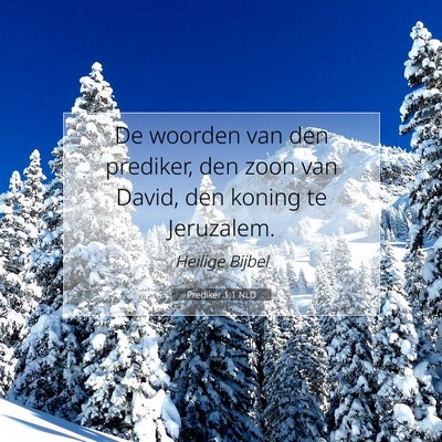 Picture 07 - Prediker 1:1 NLD - De woorden van den prediker, den zoon van David, - Bible Verse Picture