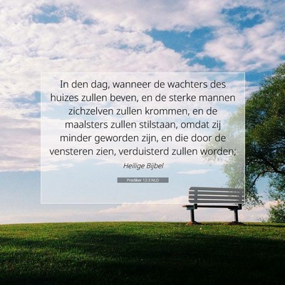 Picture 07 - Prediker 12:3 NLD - In den dag, wanneer de wachters des huizes zullen - Bible Verse Picture
